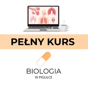 PEŁNY KURS